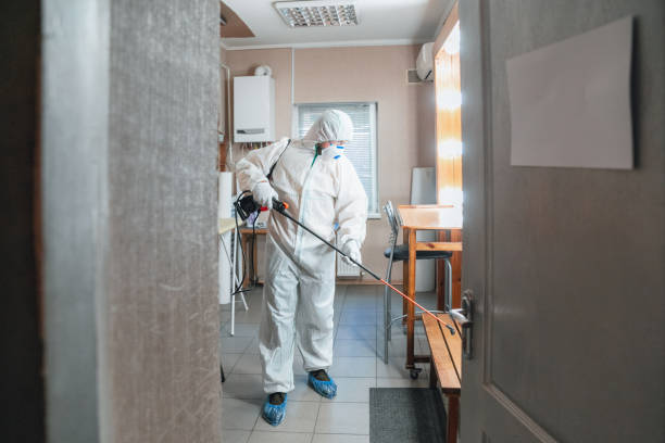 Newberry, FL Mold Removal Company