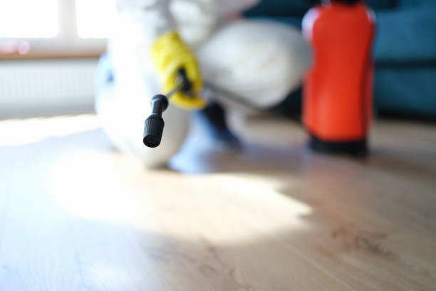 Best Mold Removal for HVAC Installations  in Newberry, FL