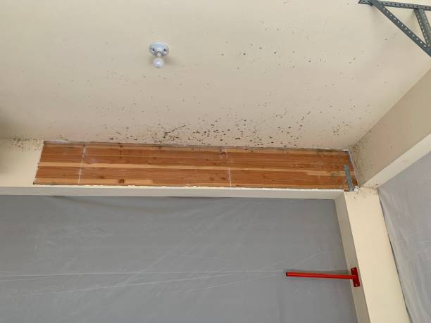 Best Indoor Air Quality Assessment  in Newberry, FL