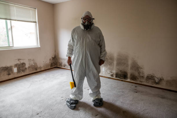 Best Asbestos and Lead Testing During Mold Inspection  in Newberry, FL