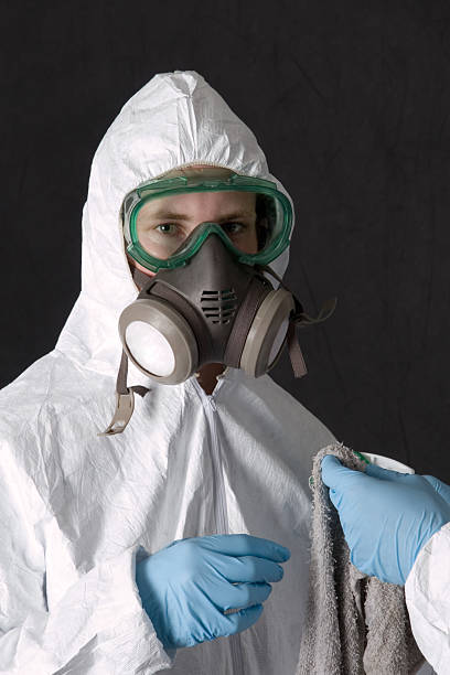 Best Mold Remediation for Vacation Homes  in Newberry, FL